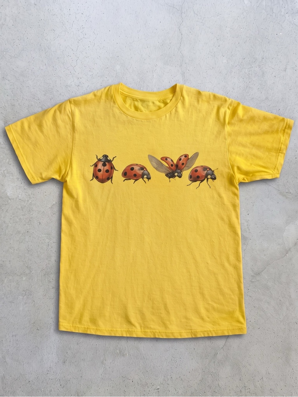 Ladybug Graphic tee, Noah fan shirt, music
concert